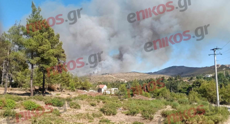 Σταμάτα Φωτιά