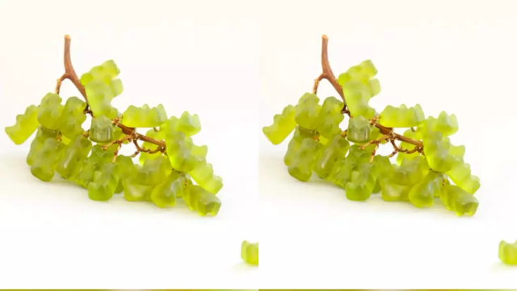 Τεστ προσωπικότητας: Αυτό που βλέπεις πρώτα στην εικόνα αποκαλύπτει εάν είσαι οργανωτικός ή περιπετειώδης