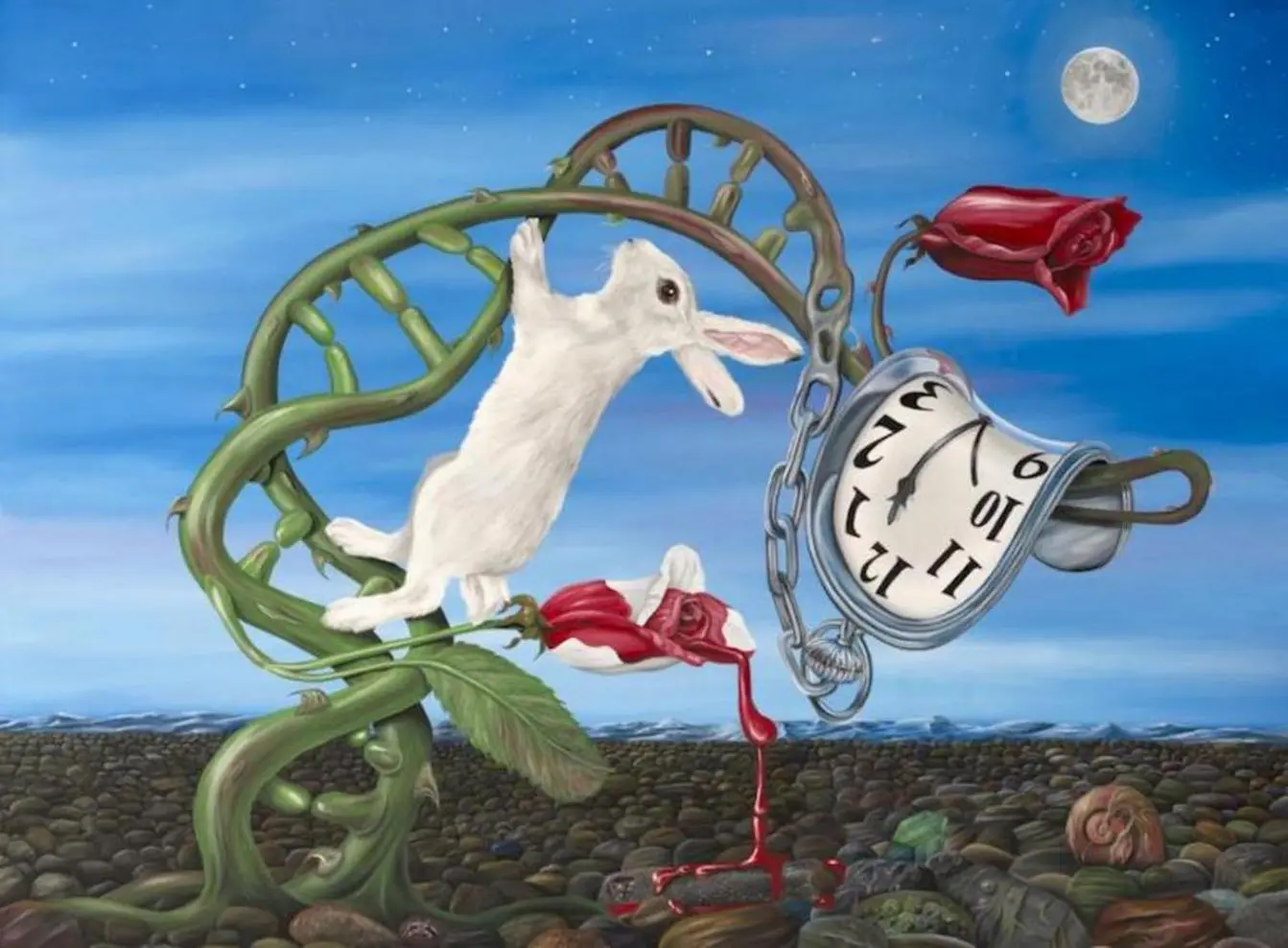 Τεστ προσωπικότητας: Αυτό που βλέπετε πρώτα στην εικόνα αποκαλύπτει τις πραγματικές ανησυχίες σας