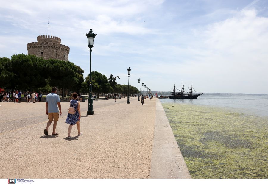 Αποκρουστικό θέαμα στη Θεσσαλονίκη: «Πρασίνισε» πάλι ο Θερμαϊκός – ΦΩΤΟ και ΒΙΝΤΕΟ