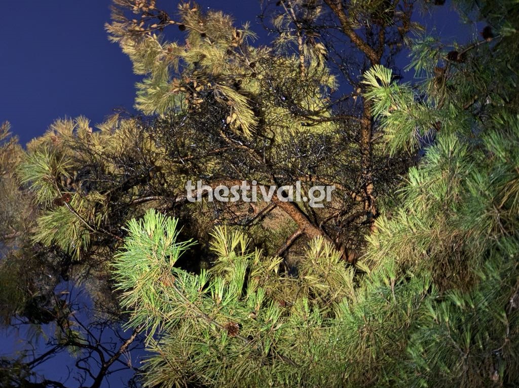 Θεσσαλονίκη