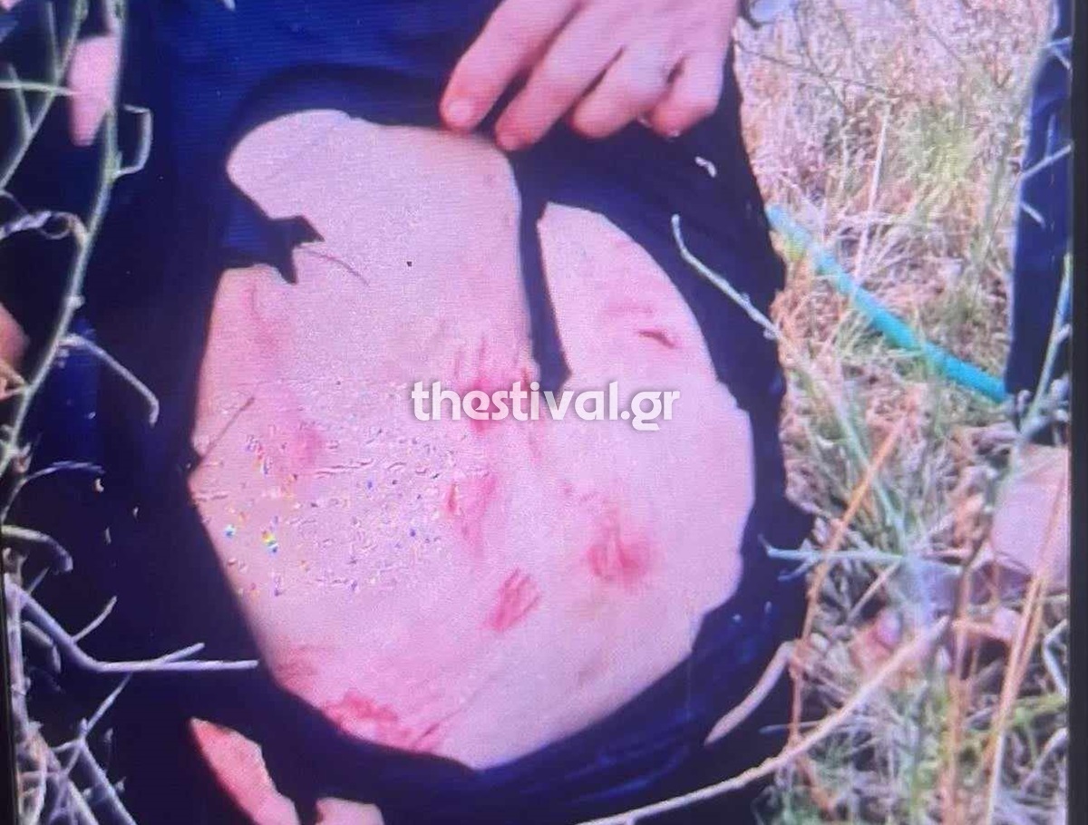 Σκυλιά Θεσσαλονίκη