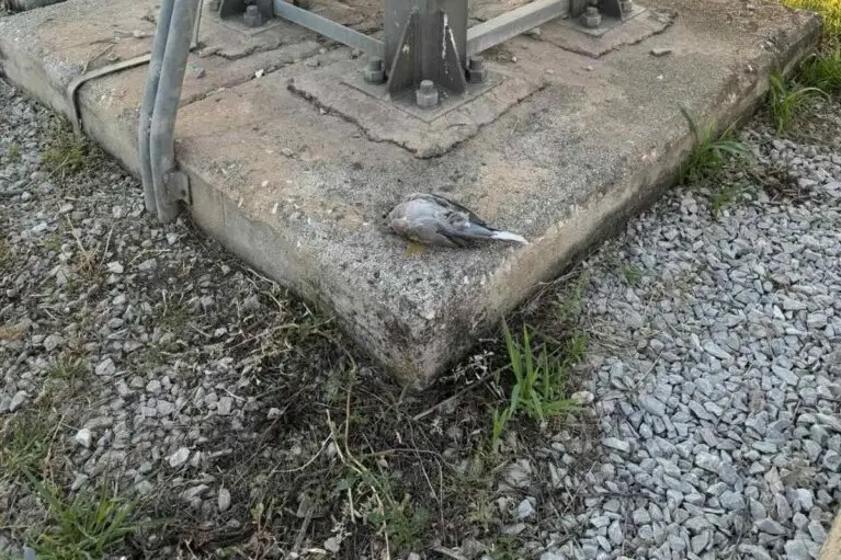 Τρίκαλα: Πώς μια δεκαοχτούρα βύθισε στο σκοτάδι αρκετά χωριά της περιοχής