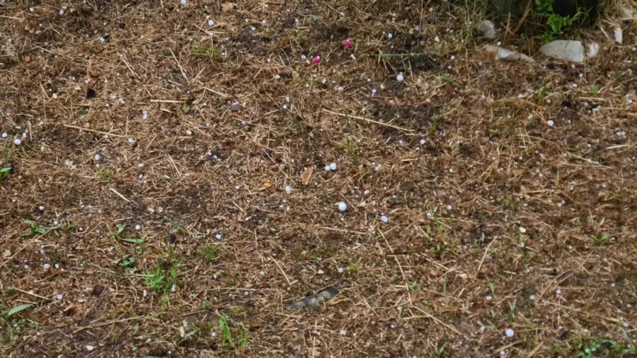 Χαλάζι Ύδρα