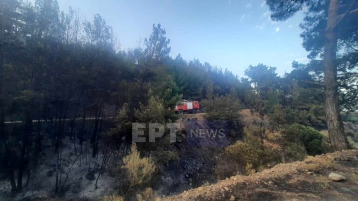 φωτιά Αρκαδία