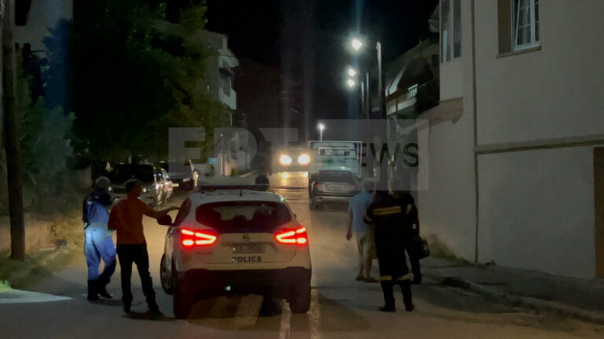 Καστοριά: Πανικός στο Άργος Ορεστικό – Αρκούδες στο κέντρο της πόλης – Προσπαθούν να τις διώξουν με κροτίδες – ΒΙΝΤΕΟ