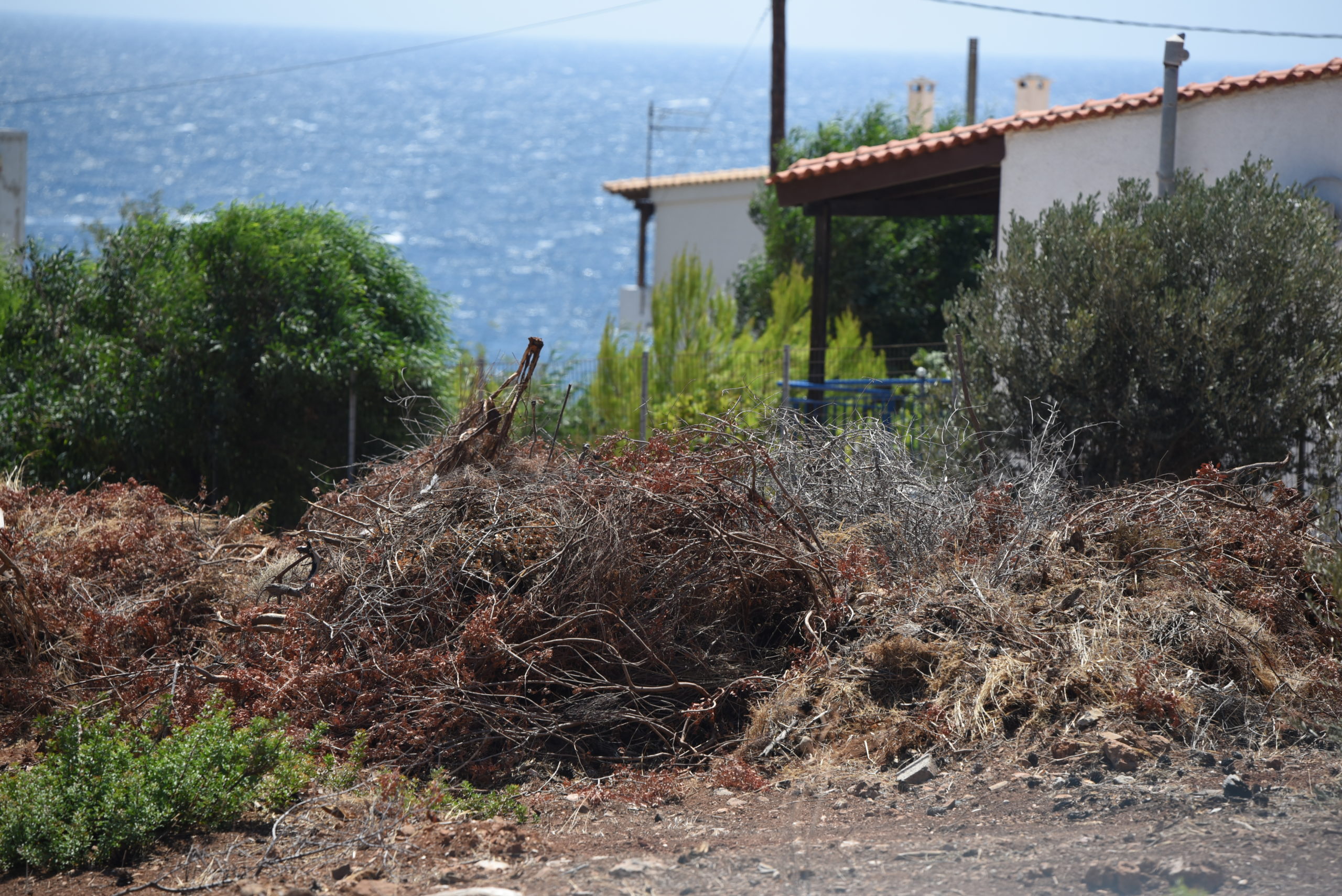 Αυτοψία του enikos.gr στο πολύπαθο Μάτι: Στοίβες από ξερόχορτα, σκουπίδια και μπάζα σε δρόμους