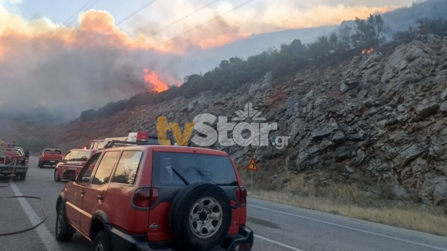 Δίστομο - φωτιά