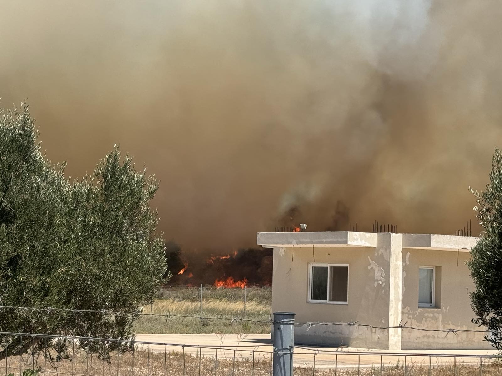 φωτιά στην Κω