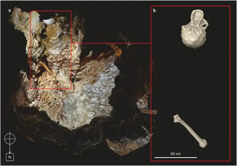 Τρισδιάστατο μοντέλο με φωτογραμμετρία του πίσω μέρους του θαλάμου, όπως φαίνεται από επάνω. Τμήμα της οροφής έχει αφαιρεθεί ψηφιακά για να φανεί το εσωτερικό. α)Το κόκκινο παραλληλόγραμμο δείχνει τη θέση του κρανίου και του δεξιού βραχίονα σε κοντινό πλάνο β) Μοντέλο του πίσω μέρους του κρανίου και ψηφιακό μοντέλο του δεξιού βραχίονα που δείχνει τις κατά προσέγγιση θέσεις των δύο δειγμάτων.
