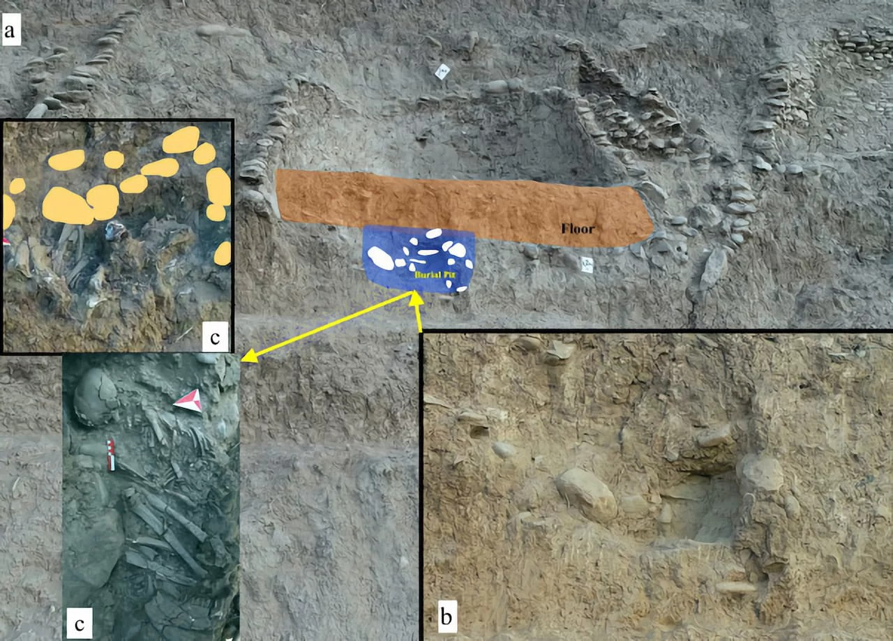 H ανακάλυψη της σαμάνου με τα διάφορα οστά ζώων στον τάφο.