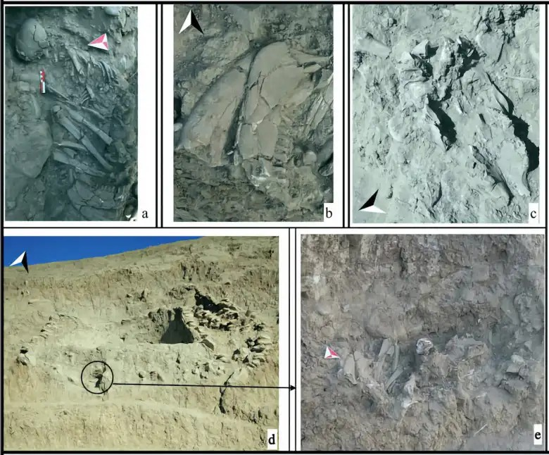 Άποψη της ταφής της σαμάνου και του περιβάλλοντος χώρου.