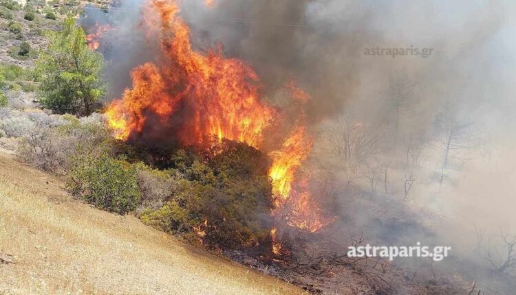 Φωτιά στην Χίο