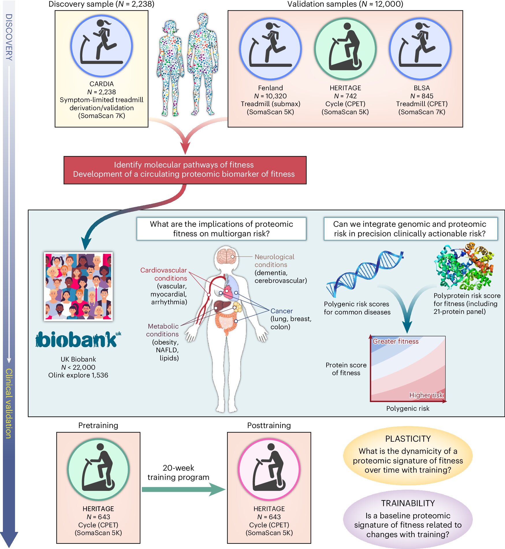 blood tests for heart