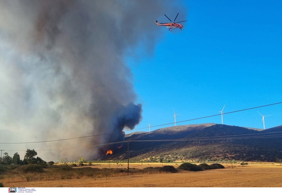 Σκληρή μάχη με τις φλόγες στην Εύβοια: Σηκώθηκαν τα εναέρια μέσα – Εκκενώθηκαν 4 οικισμοί – ΦΩΤΟ & ΒΙΝΤΕΟ