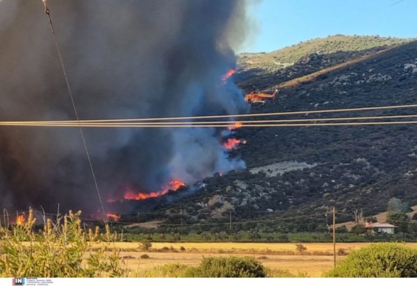 φωτιά Εύβοια