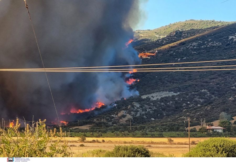 φωτιά Εύβοια