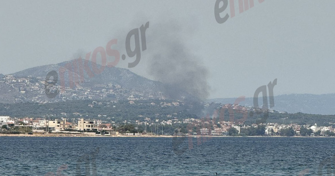 Φωτιά στην Λούτσα – Φωτογραφία και βίντεο αναγνώστη