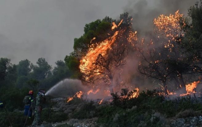 Φωτιά στην Θάσο