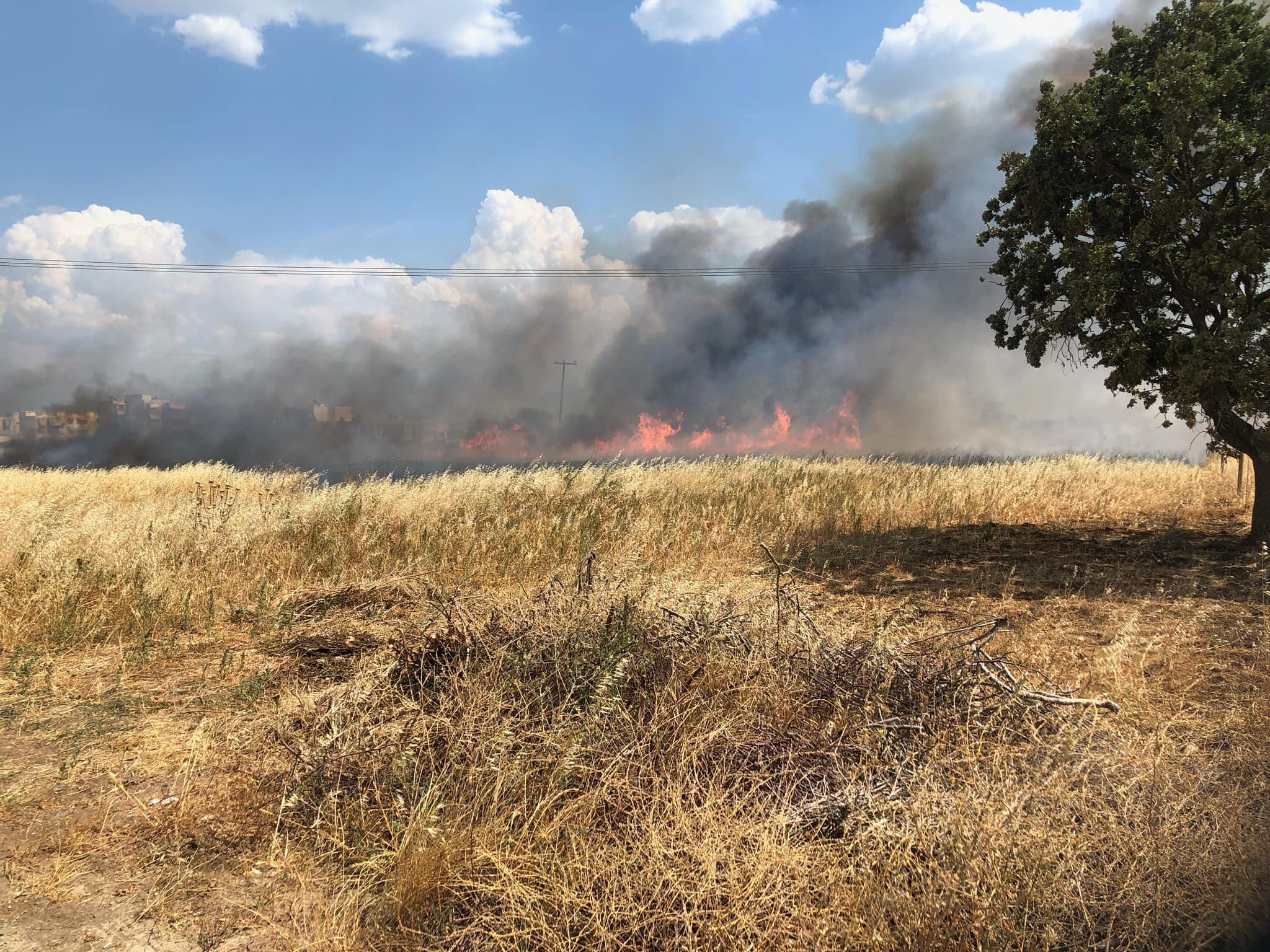 Αλεξανδρούπολη: Φωτιά σε χορτολιβαδική περιοχή, στην είσοδο του Απαλού – ΦΩΤΟ
