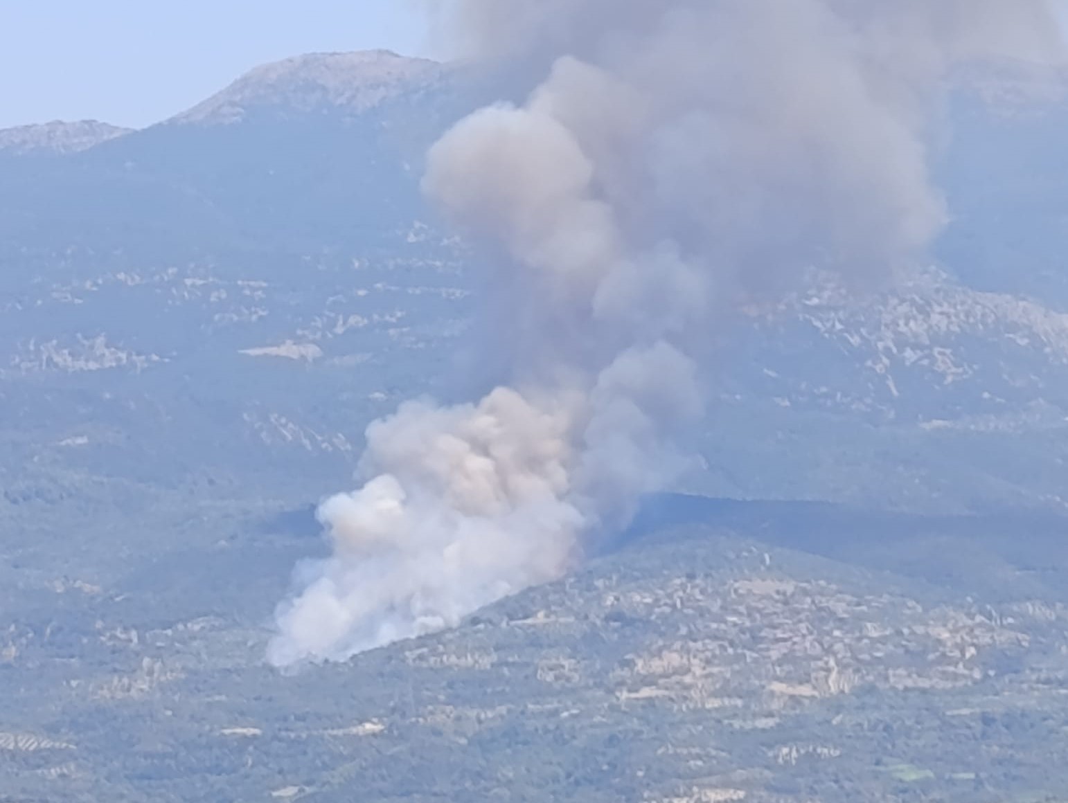 Αρκαδία: Φωτιά σε δασική έκταση στην περιοχή Κακουραίικα – Ήχησε το 112