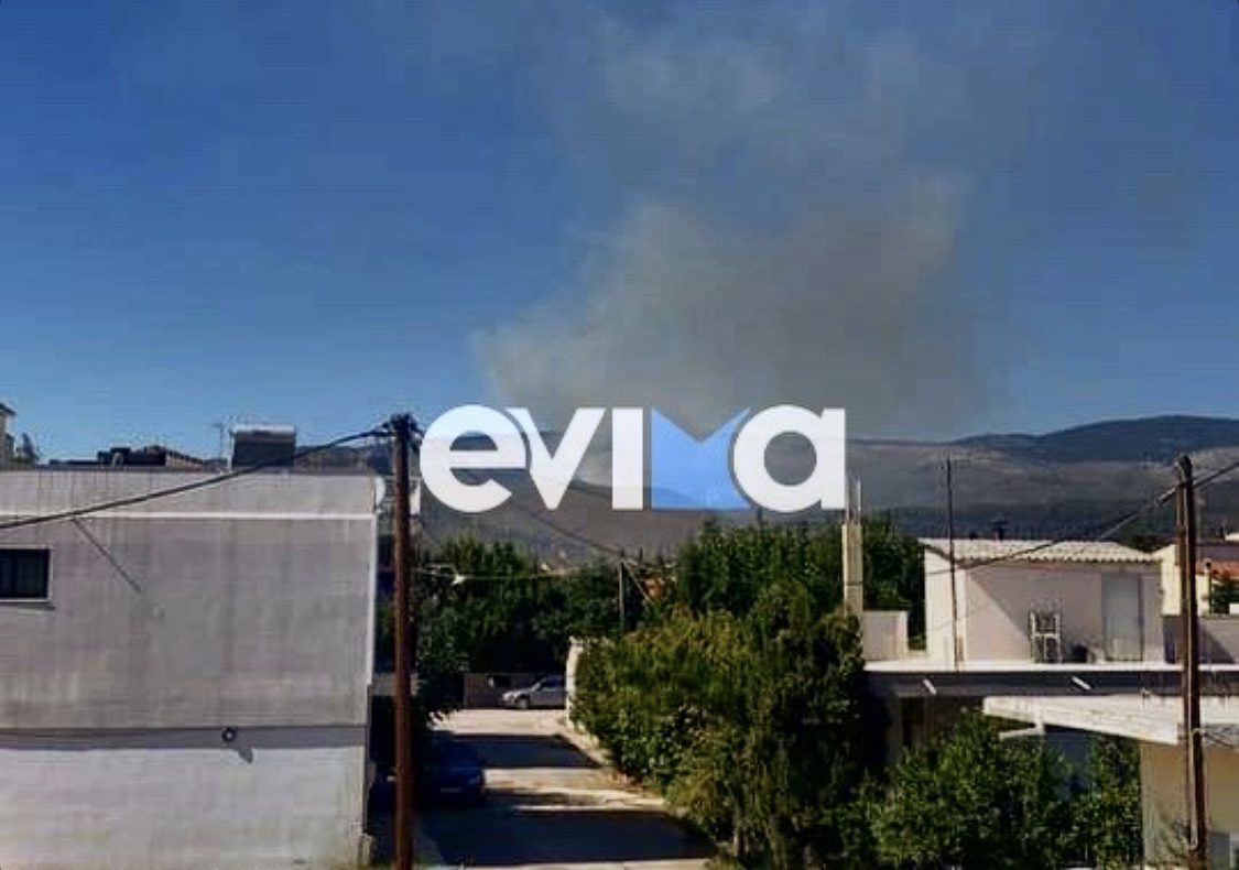Εύβοια: Μεγάλη φωτιά στην περιοχή Κοντοδεσπότι – Σηκώθηκαν εναέρια μέσα – ΦΩΤΟ