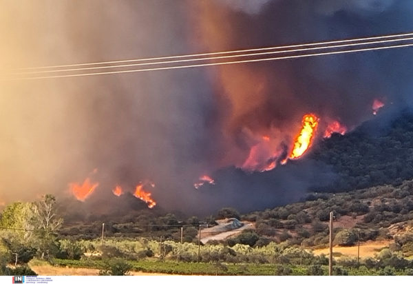 Φωτιά Εύβοια