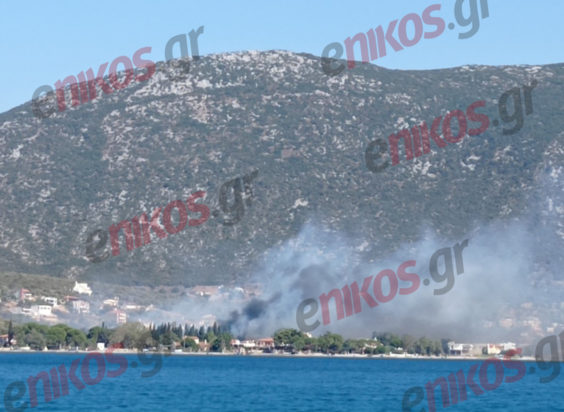 Φωτιά Εύβοια