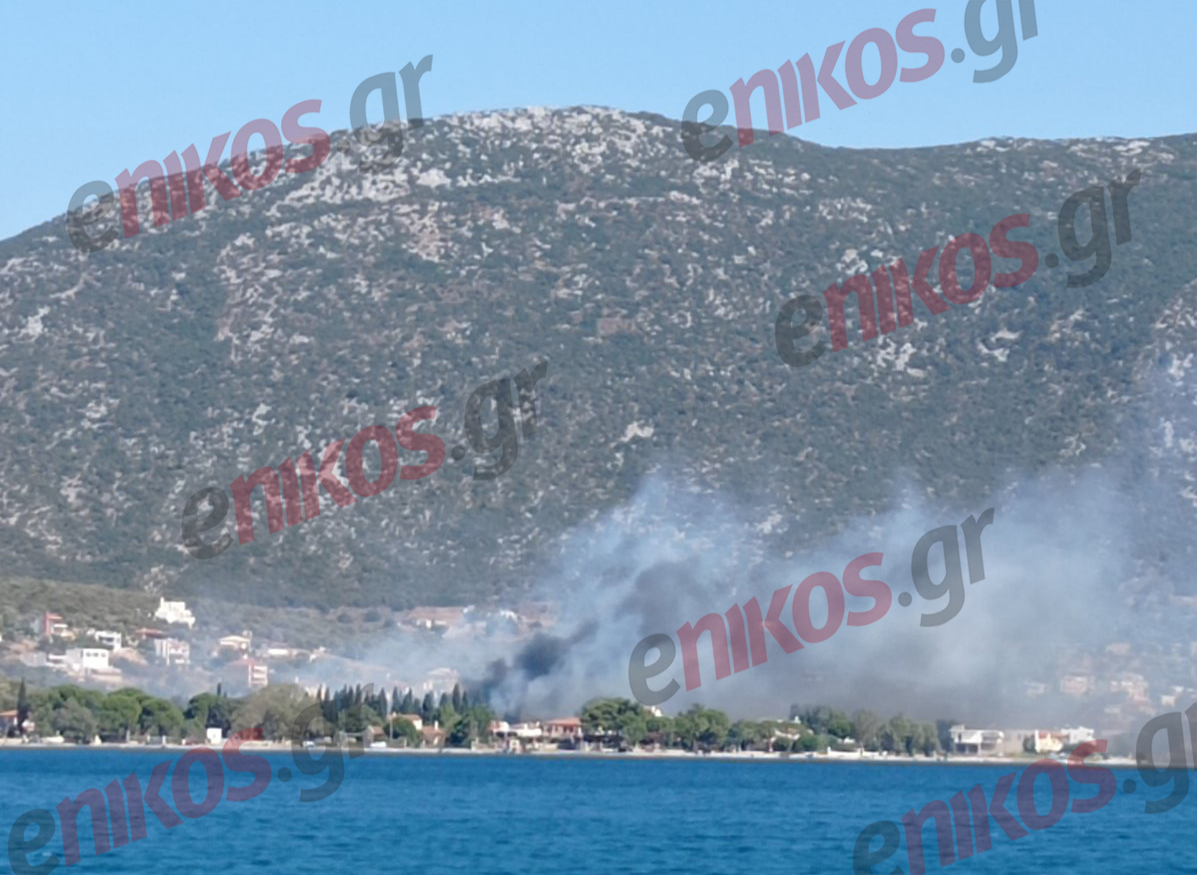 Φωτιά Εύβοια