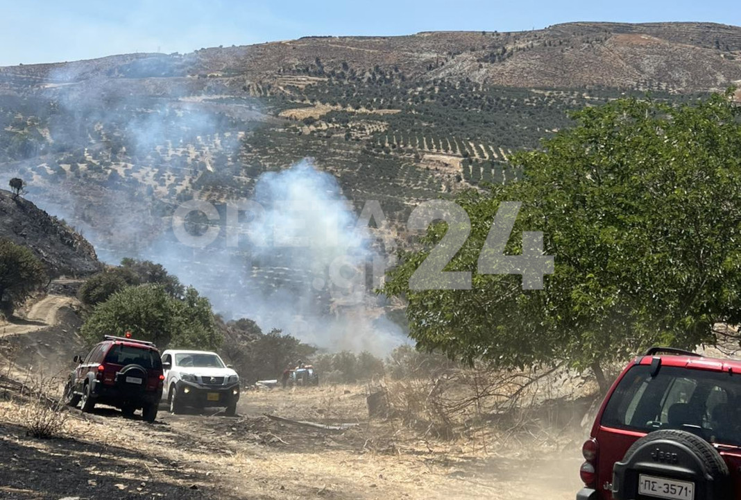 Φωτιά Γορτύνα