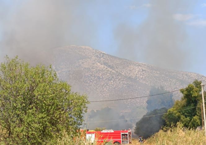 Οριοθετημένη η φωτιά στα Καλύβια