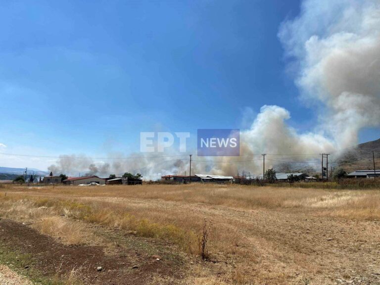 Φωτιά Καστοριά