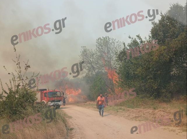Κιλκίς: Φωτιά στις Μουριές – Σηκώθηκαν εναέρια μέσα – ΦΩΤΟ και ΒΙΝΤΕΟ αναγνώστη