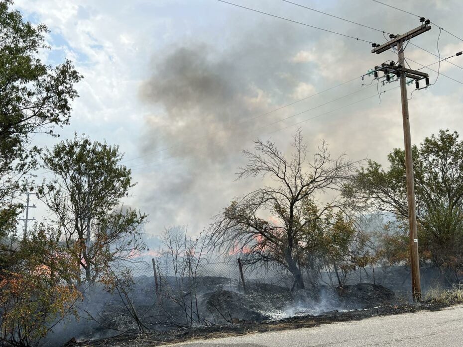 Φωτιά Πανεπιστημιούπολη Κομοτηνή