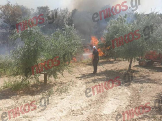 Φωτιά Κορινθία