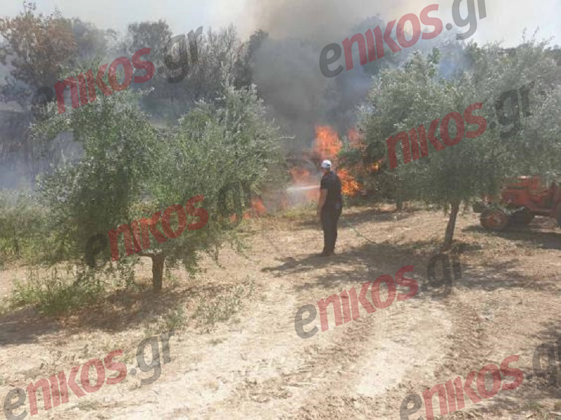 Φωτιά Κορινθία