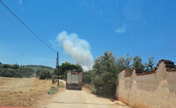Φωτιά στην Στιμάγκα Κορινθίας – Επιχειρούν 8 εναέρια μέσα, οι πρώτες εικόνες – ΒΙΝΤΕΟ