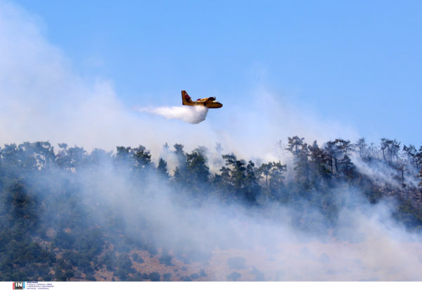 Φωτιά Λέσβος