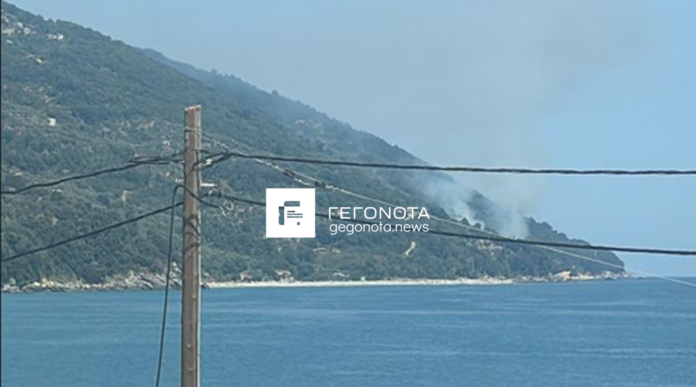 Φωτιά στη Μαγνησία – Μεγάλη κινητοποίηση της Πυροσβεστικής