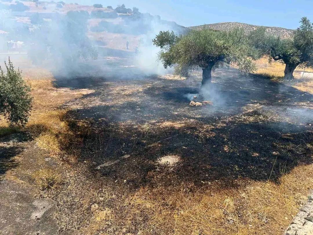 Φωτιά στο Μαρκόπουλο: Ξέσπασαν 2 εστίες – Σηκώθηκαν εναέρια μέσα – ΦΩΤΟ