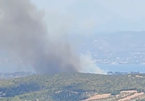 Φωτιά Ωρωπός