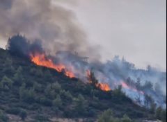 Φωτιά Ωρωπός