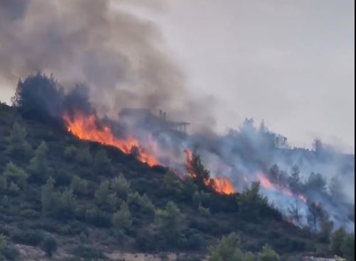 Φωτιά Ωρωπός