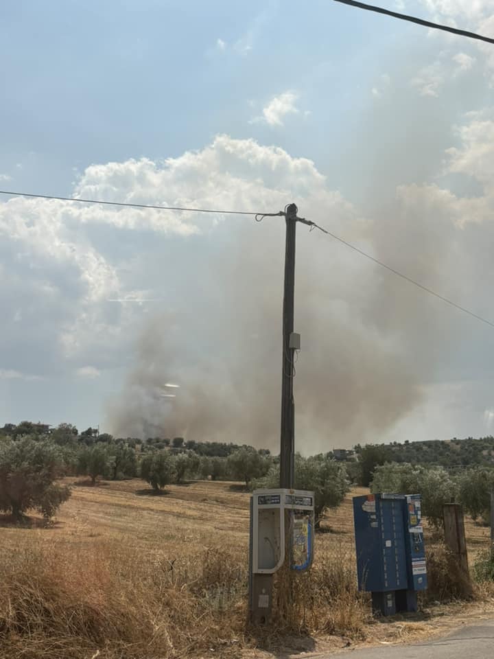 Φωτιά Ωρωπός