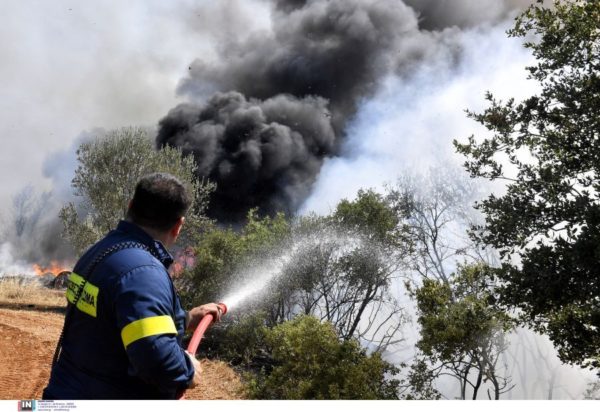 φωτιά πυρκαγιά