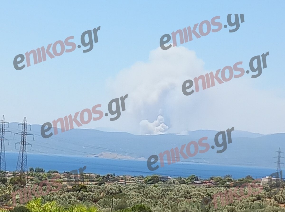 Κορινθία: Σε εξέλιξη η φωτιά σε δασική έκταση στο Σοφικό – Επιχειρούν 7 εναέρια μέσα – ΦΩΤΟ αναγνώστη