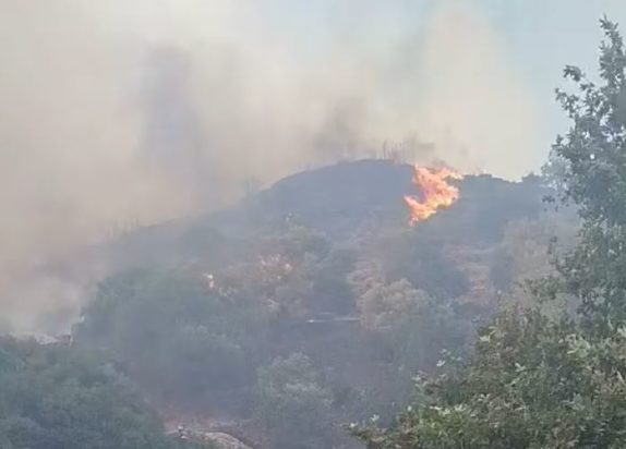 Φωτιά Χανιά