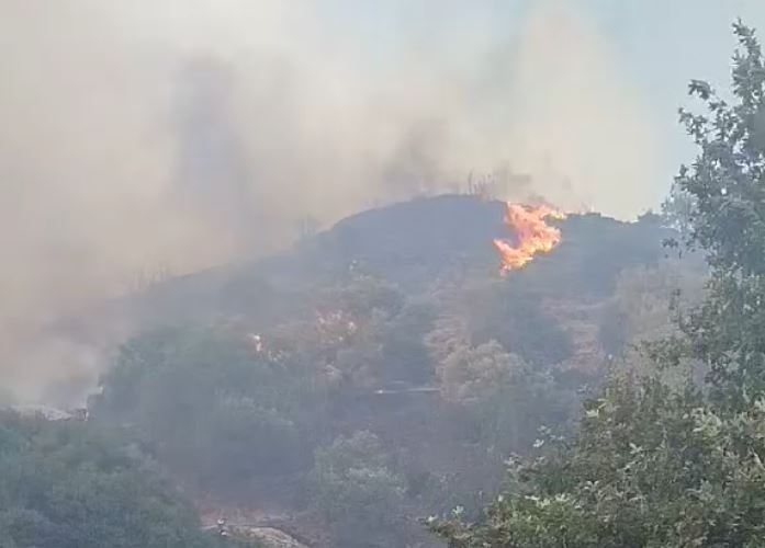 Φωτιά Χανιά