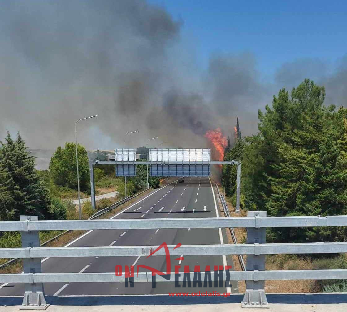 φωτιά Πιερία