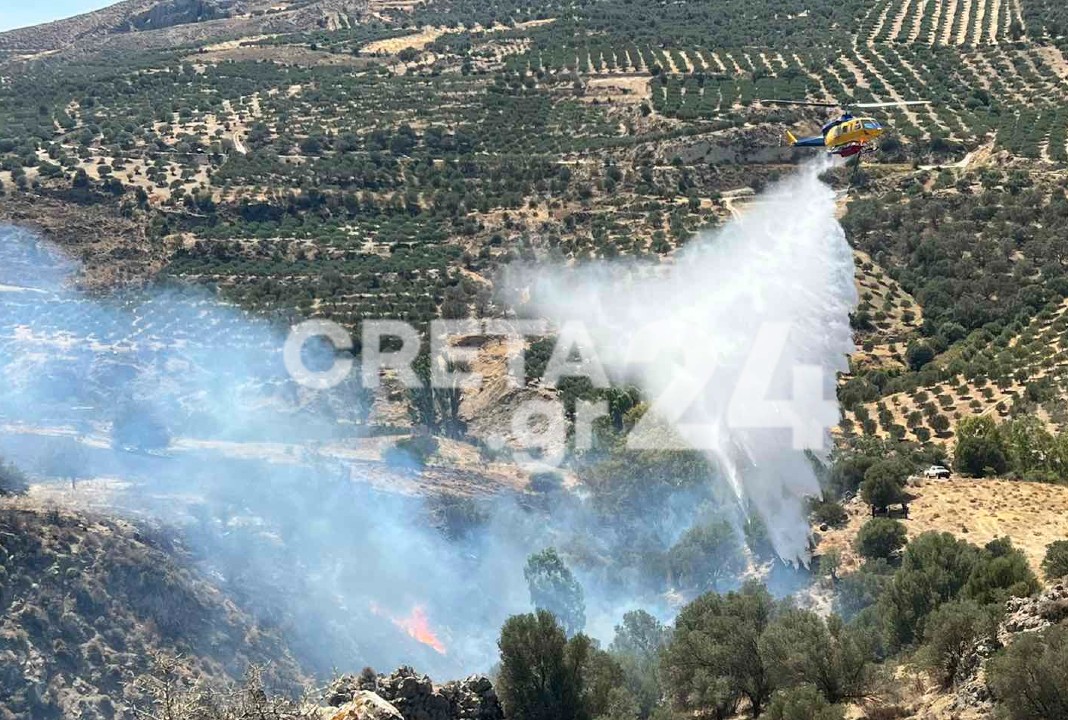 Φωτιά Γορτύνα